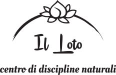 Logo Il Loto